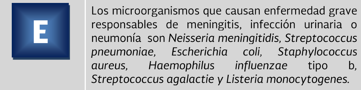 2. Etiologia 1 - GPC-SS-116